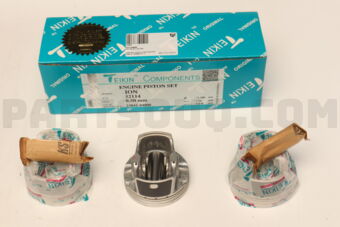 521140050 PISTON SET 050 ION