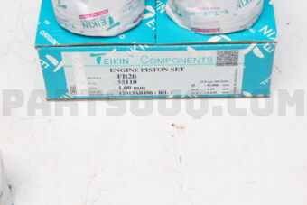 55110100 PISTON SET 100 FB20
