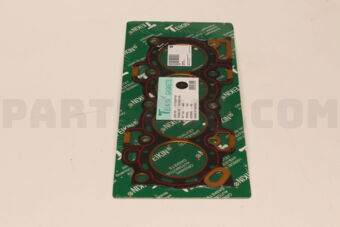 TG1029NK GASKET HEAD  HD