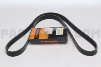 7PK1555 RIB BELT