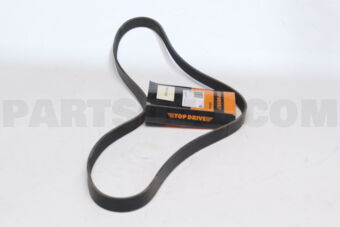 7PK1555 RIB BELT