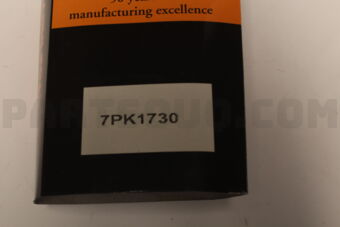 7PK1730 RIB BELT
