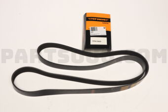 7PK1925 RIB BELT