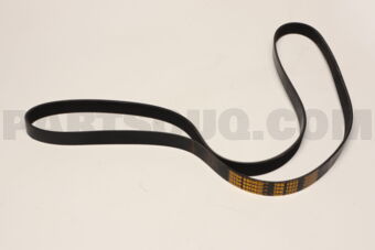 7PK1933 RIB BELT