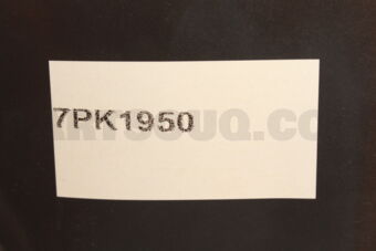7PK1950 BELT