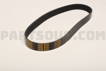 7PK810 RIB BELT