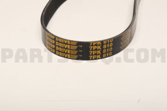 7PK810 RIB BELT