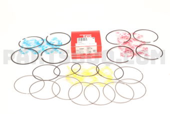 359673F100 PISTON RING