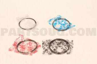 360502FAC025 RING PISTON 025 1GD