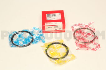 420133FACSTD PIST0N RING