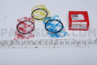 420433F0025 RING PISTON SET 025 G4KC LPG 2.0