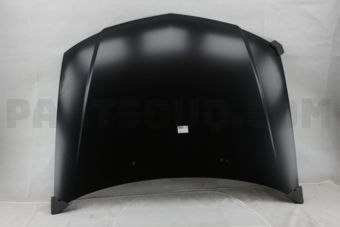 DS20110A HOOD