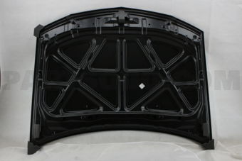 DS20110A HOOD