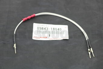 0984318040 CHECK WIRE NO.2