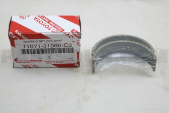 1107131060C3 BEARING SET