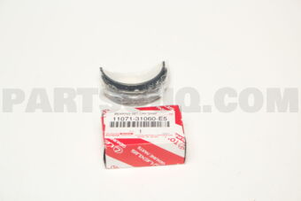 1107131060E5 BEARING SET