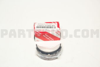 1107131060E5 BEARING SET