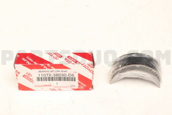 1107238030D5 BEARING SET