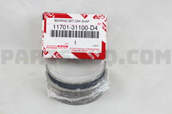 1170131100D4 BEARING SET