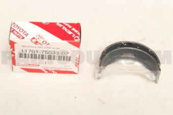 117017503302 BEARING SET