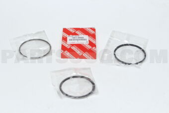 130110H020 RING SET, PISTON