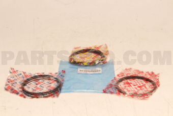 130110L021 RING SET  PISTON