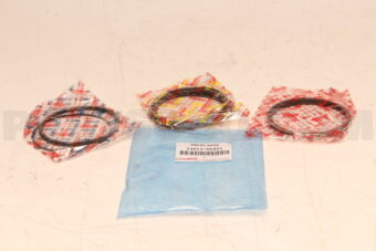 130110L021 RING SET  PISTON