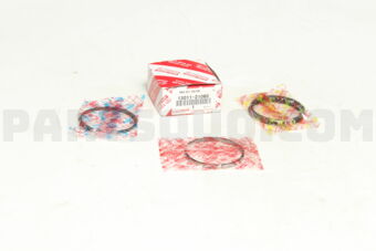 1301121060 RING SET, PISTON