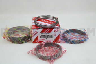 1301168030 RING SET, PISTON
