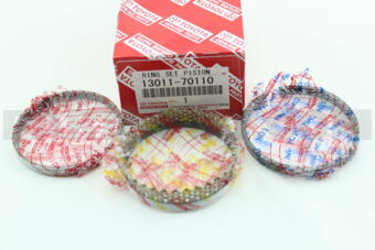 1301170110 RING SET, PISTON