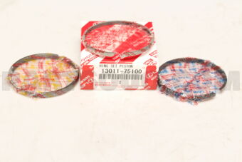 1301175100 RING SET, PISTON