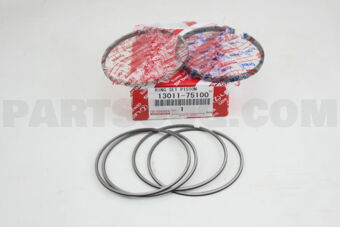1301175100 RING SET, PISTON