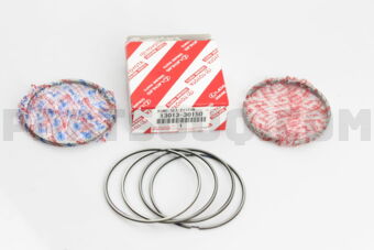 1301330150 RING SET, PISTON