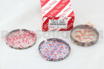 1301375041 RING SET, PISTON