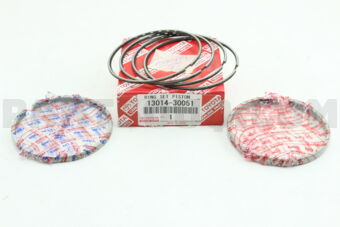 1301430051 RING SET, PISTON