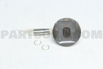 131010C070 PISTON SUB-ASSY