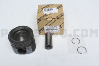 131010E02102 PISTON SUB-ASSY  W/P