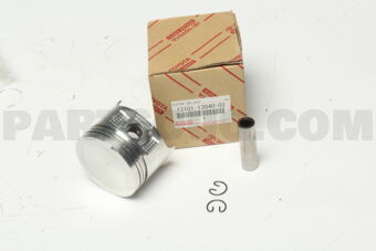 131011304002 PISTON SUB-ASSY, W/PIN