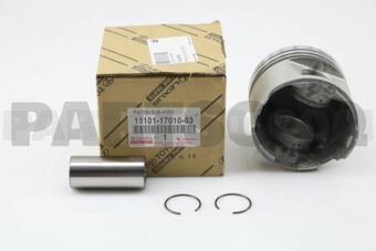 131011701003 PISTON SUB-ASSY, W/PIN