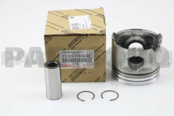1310117010 PISTON (CHECK SUBSTITUTION)