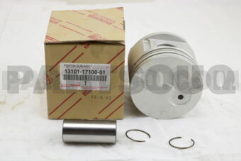 131011710001 PISTON SUB-ASSY, W/PIN
