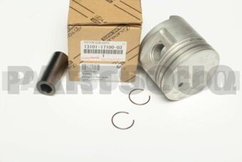 131011710003 PISTON SUB-ASSY, W/PIN