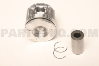 131013010202 PISTON SUB-ASSY, W/PIN