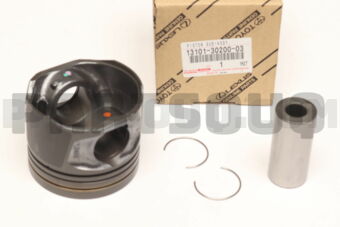 131013020003 PISTON SUB-ASSY, W/PIN