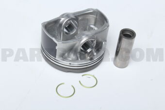 1310131171B0 PISTON SUB-ASSY