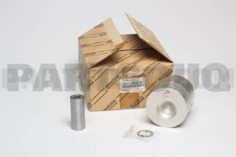 131015803002 PISTON SUB-ASSY, W/PIN
