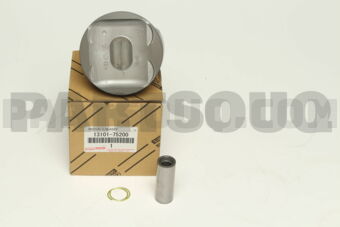 1310175200 PISTON SUB-ASSY