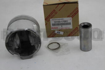 1310317091 PISTON SUB-ASSY, W/PIN