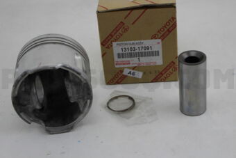 1310317091 PISTON SUB-ASSY, W/PIN