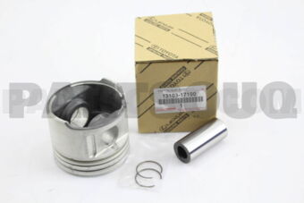 1310317100 PISTON SUB-ASSY, W/PIN